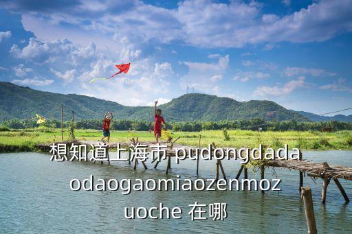 想知道上海市 pudongdadaodaogaomiaozenmozuoche 在哪