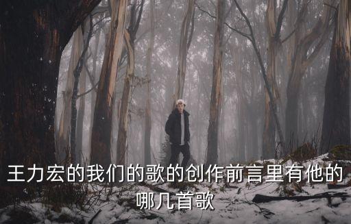 王力宏的我們的歌的創作前言里有他的哪幾首歌