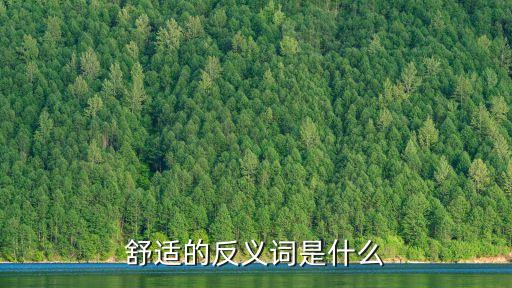 舒適的反義詞是什么