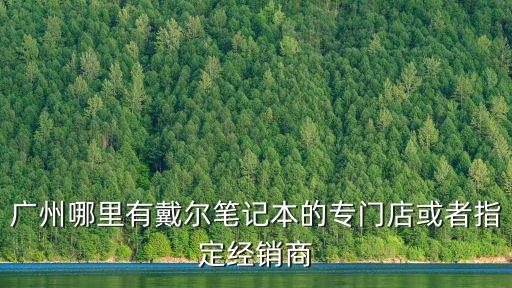 戴爾電腦廣州哪里有賣，廣州那里有戴爾專賣店