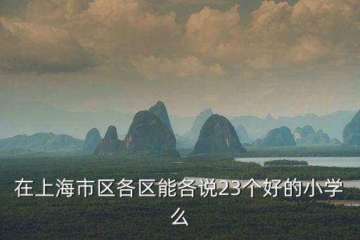 在上海市區(qū)各區(qū)能各說23個(gè)好的小學(xué)么