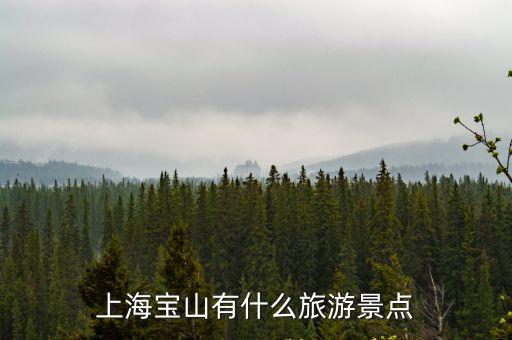 上海寶山有什么旅游景點