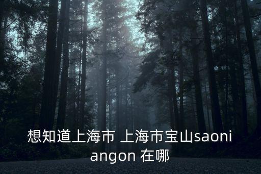 上海市石灰窯，想知道上海市 上海市寶山saoniangon 在哪