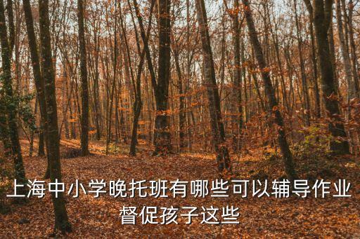 上海中小學晚托班有哪些可以輔導作業督促孩子這些