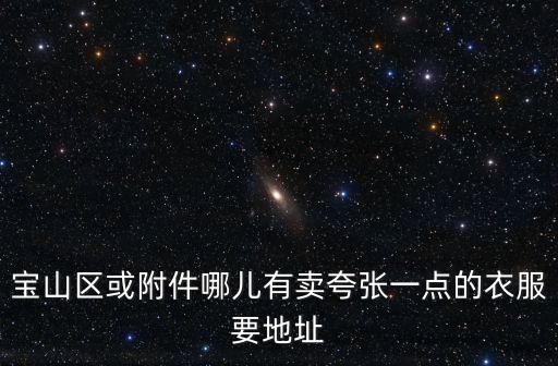 上海市寶山美琪服裝店，想知道上海市 上海市寶山saoniangon 在哪