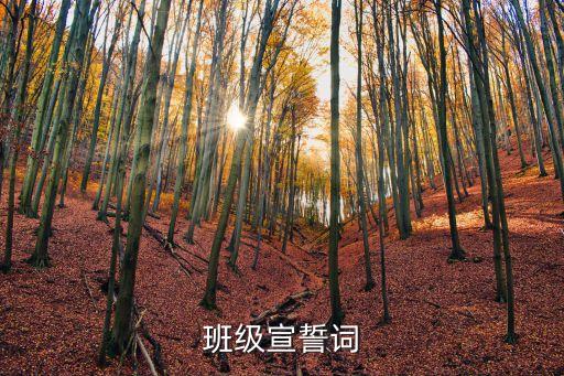 班級宣誓詞，班級誓詞急用要簡潔