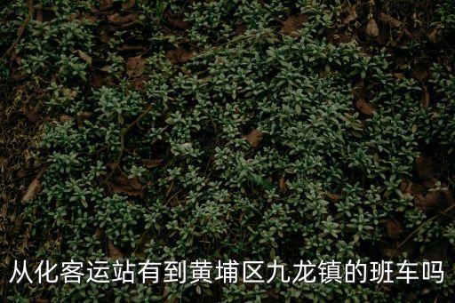 從化客運站有到黃埔區九龍鎮的班車嗎
