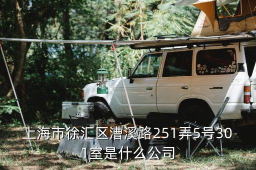 上海市境佳，上海市河南南路33號(hào)23樓a座是家什么公司