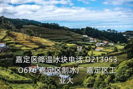 嘉定區降溫冰塊電話 O213953 O676 嘉定區制冰廠 嘉定區工業大