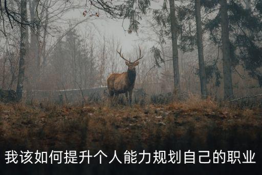 我該如何提升個人能力規劃自己的職業