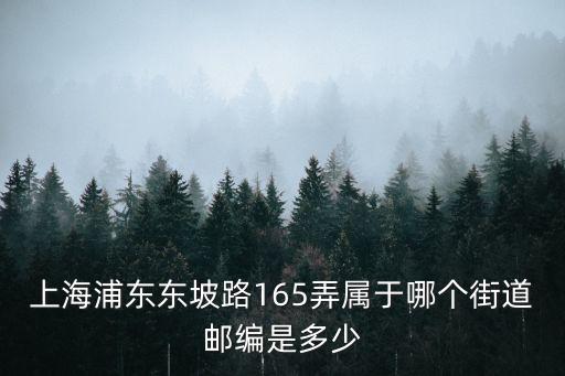 上海浦東東坡路165弄屬于哪個街道郵編是多少
