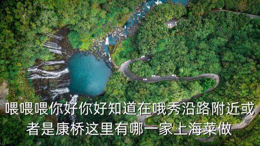 喂喂喂你好你好知道在哦秀沿路附近或者是康橋這里有哪一家上海菜做