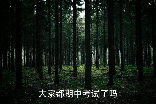 大家都期中考試了嗎