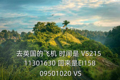 廣州到英國(guó)晚上是幾點(diǎn)上飛機(jī)，廣州到英國(guó)飛機(jī)要多久