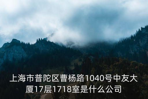 上海市人工智能正高級(jí)工程師，上海市閔行區(qū)吳中路1075號(hào)12樓F座 E世紀(jì)科技電腦公司