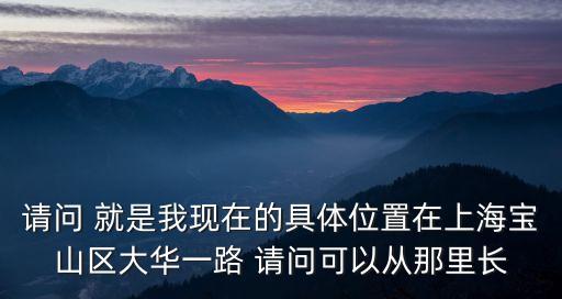 請問 就是我現在的具體位置在上海寶山區大華一路 請問可以從那里長