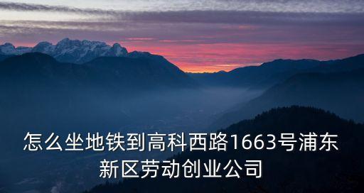 上海市蒲新區東高勞務所，上海蒲東勞動局在什么路