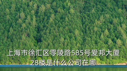 上海市徐匯區零陵路585號愛邦大廈28樓是什么公司在哪