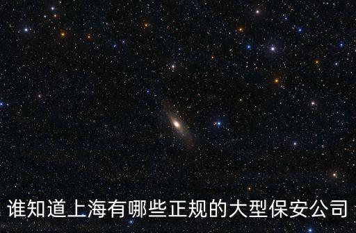 誰(shuí)知道上海有哪些正規(guī)的大型保安公司