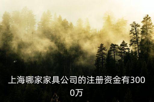 上海哪家家具公司的注冊資金有3000萬