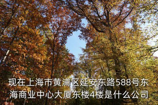 上海市捷伴實業有限公司，現在上海市黃浦區延安東路588號東海商業中心大廈東樓4樓是什么公司