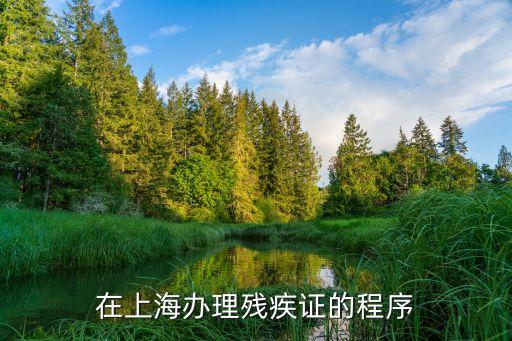 在上海辦理殘疾證的程序