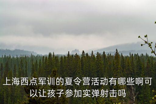 上海西點軍訓的夏令營活動有哪些啊可以讓孩子參加實彈射擊嗎