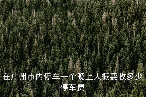 在廣州市內停車一個晚上大概要收多少停車費