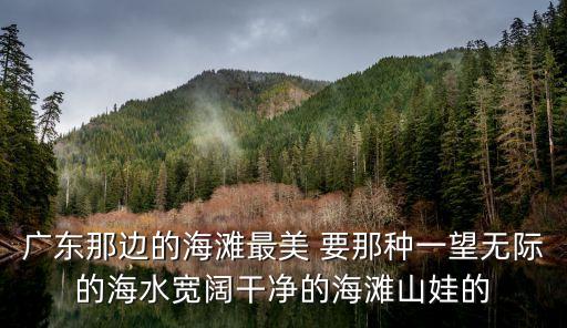 廣東那邊的海灘最美 要那種一望無際的海水寬闊干凈的海灘山娃的