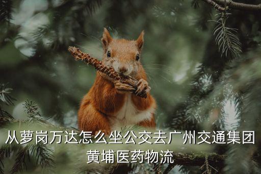 廣州交通集團黃埔分公司，廣州市天河區(qū)五山路248號金山大廈北塔2樓是什么公司  問