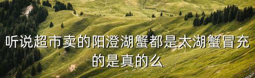聽說超市賣的陽(yáng)澄湖蟹都是太湖蟹冒充的是真的么