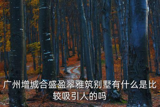 廣州增城合盛盈翠雅筑別墅有什么是比較吸引人的嗎