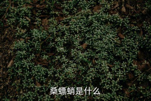 桑螵蛸，桑螵蛸是什么