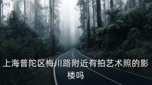 上海普陀區(qū)梅川路附近有拍藝術(shù)照的影樓嗎