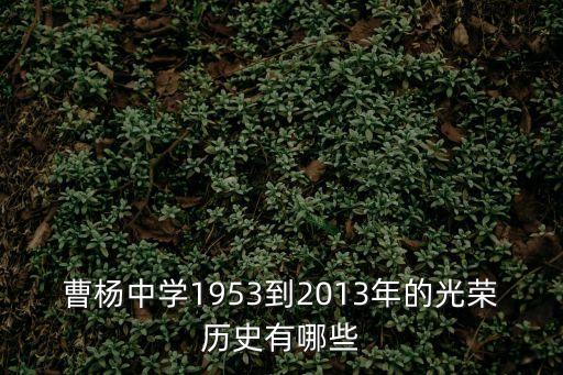 曾經(jīng)的上海市曹楊第四中學(xué)變遷，曹楊中學(xué)在哪