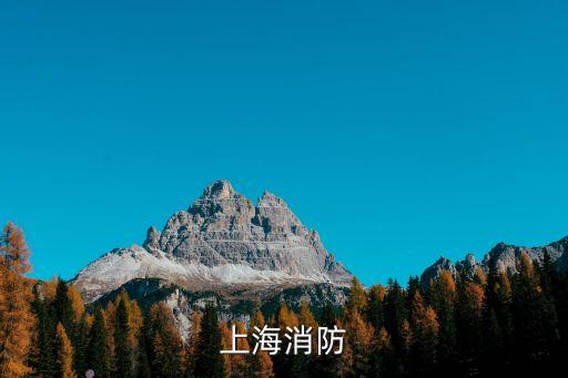 上海市徐行消防站，上海市消防總隊車站中隊的地址是多少