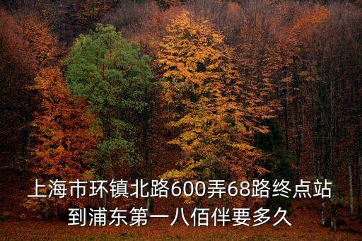 上海市環(huán)鎮(zhèn)北路600弄68路終點站到浦東第一八佰伴要多久