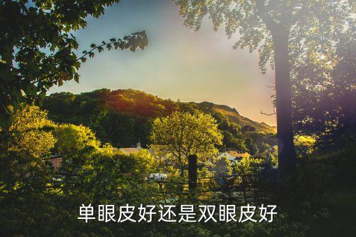 單眼皮和雙眼皮，什么叫單眼皮和雙眼皮