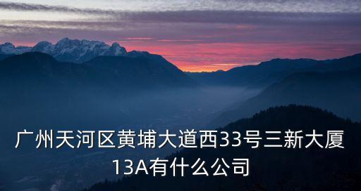 廣州天河區黃埔大道西33號三新大廈13A有什么公司