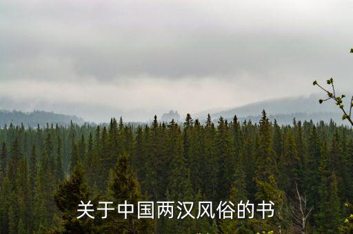 關于中國兩漢風俗的書