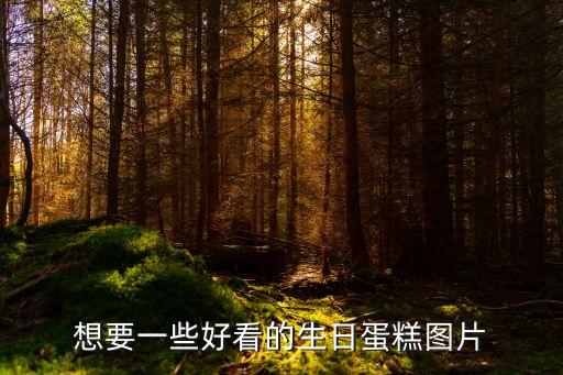 想要一些好看的生日蛋糕圖片