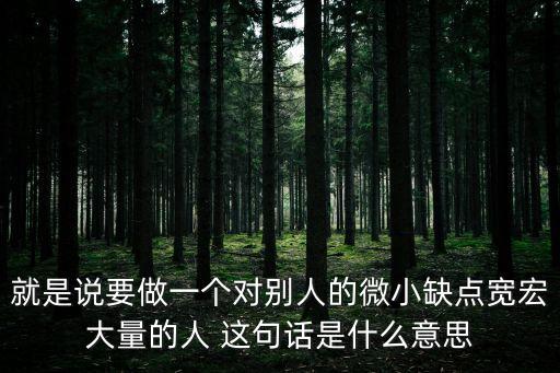 就是說要做一個對別人的微小缺點寬宏大量的人 這句話是什么意思