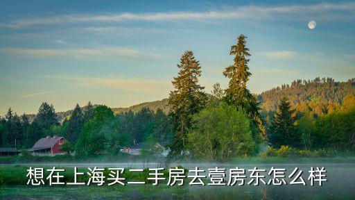 上海市房東排名，想在上海買(mǎi)二手房去壹房東怎么樣
