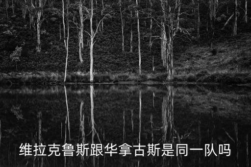 維拉克魯斯，維拉克魯斯跟華拿古斯是同一隊嗎