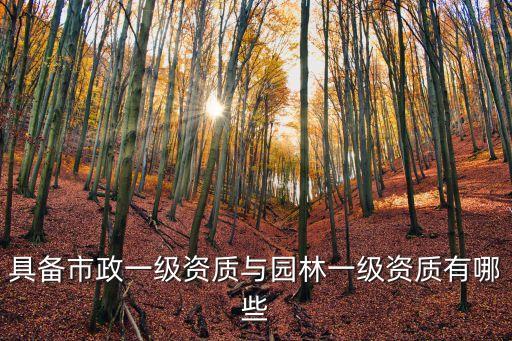 上海市政資質(zhì)有多少，上海市政建設(shè)有限公司有多少條資質(zhì)信息