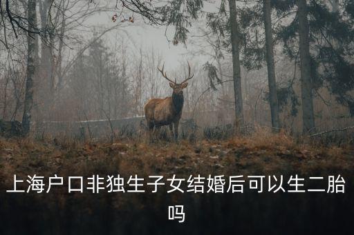 上海戶口非獨生子女結婚后可以生二胎嗎