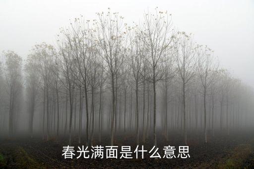 春光滿面是什么意思