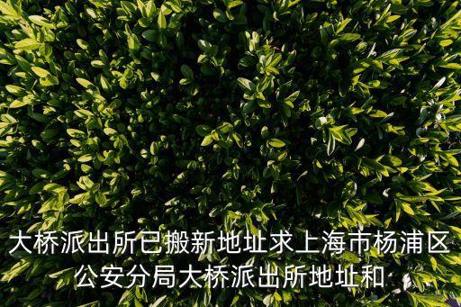 大橋派出所已搬新地址求上海市楊浦區公安分局大橋派出所地址和