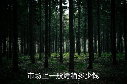 上海市大型烘箱多少錢，上海紅凌雙層燃氣烤箱價格