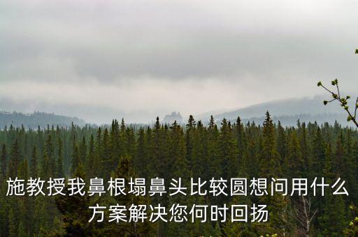 施教授我鼻根塌鼻頭比較圓想問用什么方案解決您何時回揚